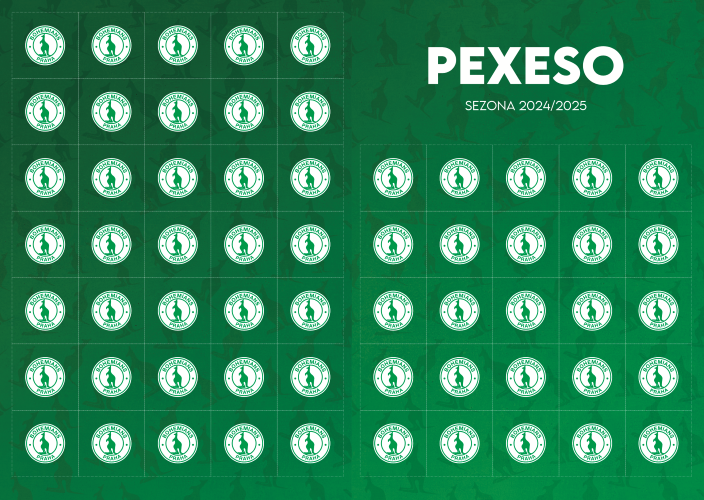 4953-pexeso 24-25 predni